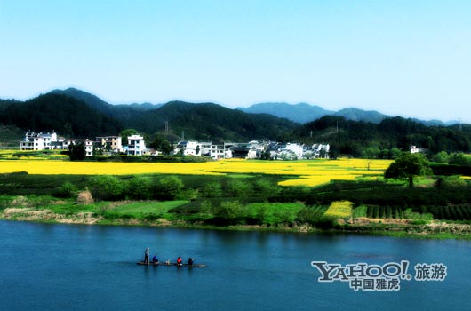 　　婺源號稱是中國最美麗的鄉(xiāng)村,她最美麗的季節(jié)是三月中下旬。(圖片來源:CFP)