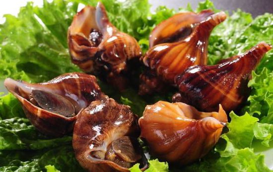 秋季最適合吃的海鮮是這10種 你吃對了嗎？