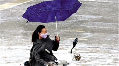 昨日下午，隴海路上，雨中風(fēng)大，一位女士的傘被吹翻了。