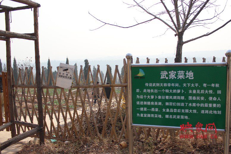 武家菜地就是這，據(jù)說里面有個特大的蘿卜