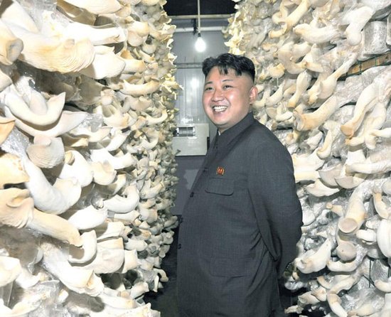 朝鮮落實經濟十年戰(zhàn)略 欲在2020年成發(fā)達國家