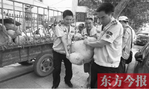 昨日，鄭州金水區(qū)執(zhí)法局的執(zhí)法隊(duì)員捐錢買瓜，替瓜農(nóng)解憂