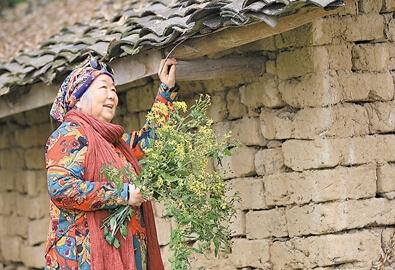 公式“時尚奶奶”的賞花照，收獲了好多人的點贊。 受訪者供圖
