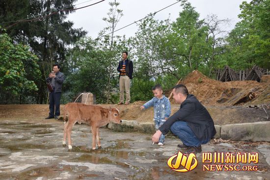 村里人知道后，前來看熱鬧