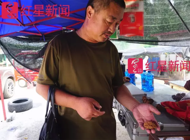 文玩核桃遇冷由幾萬(wàn)一對(duì)降到5元沒人要？商戶否認(rèn)