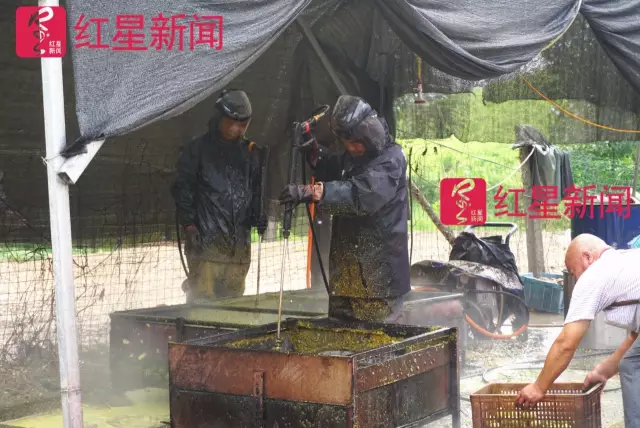 文玩核桃遇冷由幾萬(wàn)一對(duì)降到5元沒人要？商戶否認(rèn)