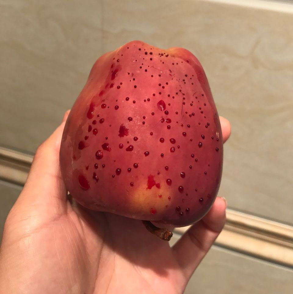 嚇懵！女子用熱水泡蘋果結(jié)果冒出血珠 咋回事？