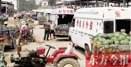 昨日，東方今報(bào)與河南福壽園聯(lián)合購瓜，只有更多的市民和企業(yè)加入購瓜行動(dòng)，瓜農(nóng)們才能早日回家