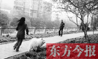 12月3日，鄭州市南關(guān)街熊兒河旁，一名遛狗的女子見到執(zhí)法人員檢查，迅速跑開