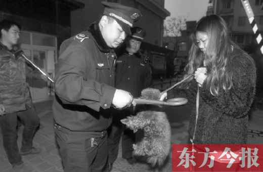 12月3日早上6點(diǎn)半，鄭州市南關(guān)街熊兒河旁，南關(guān)街辦事處的執(zhí)法人員對(duì)狗進(jìn)行排查