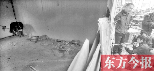 12月4日，鄭州市未來路與隴海路交叉口西側(cè)，執(zhí)法人員用吹管麻醉針對(duì)付一只藏獒