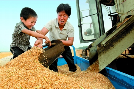 5月27日，確山縣劉店鎮(zhèn)前槽村郭景蓮和小孫子一起收獲小麥，豐收的喜悅寫在了臉上。