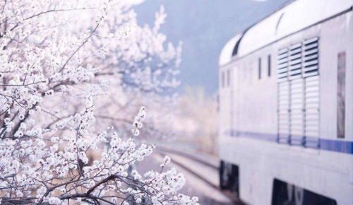 開(kāi)往春天的列車