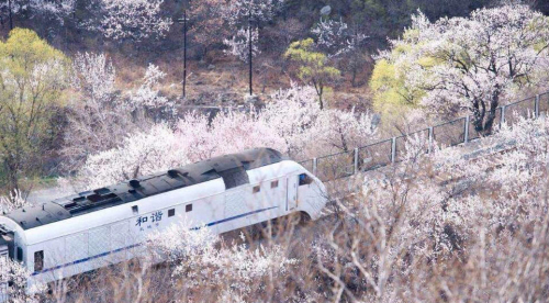開(kāi)往春天的列車