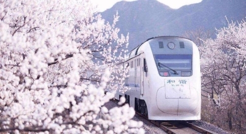 開(kāi)往春天的列車