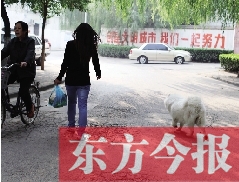 啟明一巷內(nèi)，一名女子帶著狗狗去買菜。狗隨地大小便，狗的主人未制止