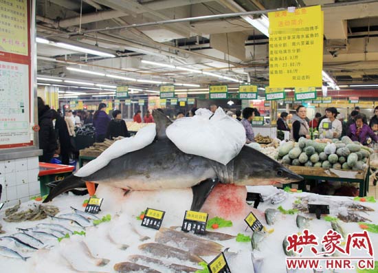 鄭州市一家超市海鮮區(qū)的冰架上赫然擺著一整條鯊魚在出售，鯊魚肉價格為23.80元每斤，遠低于牛羊肉的價