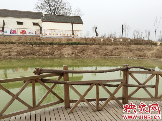 護(hù)欄損毀的地方，已經(jīng)被兩根樹(shù)干擋住。
