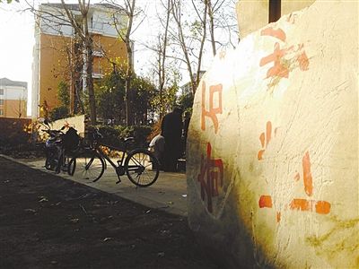 昨日，“上海奇石盆景博物館”原址上，已矗立起小區(qū)樓盤，而刻著博物館名的巨石，廢棄在一旁。本版圖片/新京報(bào)記者 張永生 攝