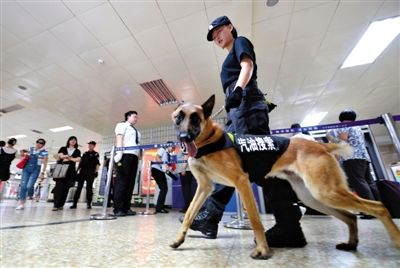 地鐵王府井站搜汽油警犬在安檢口巡邏。新京報記者 王貴彬 攝