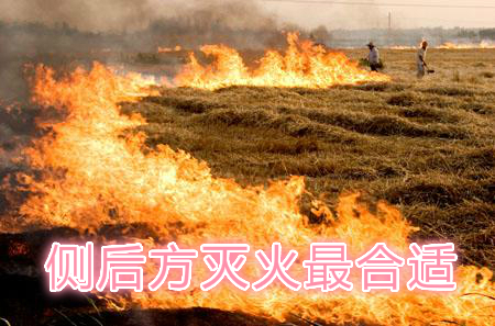 不要在風(fēng)頭上打火：風(fēng)正大，火正旺，最容易傷人；