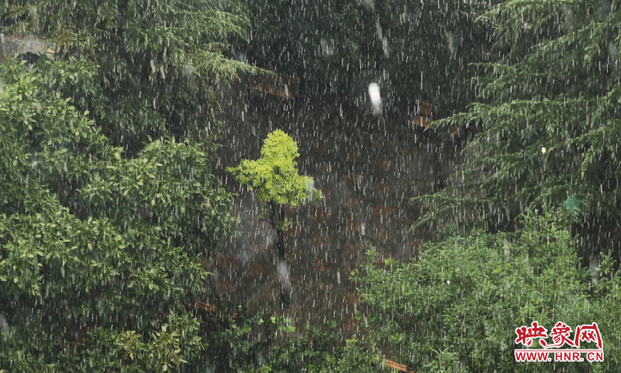 17時(shí)32分,鄭州強(qiáng)降雨,紫荊山附近的市民真切地感受到了什么叫大雨傾盆。