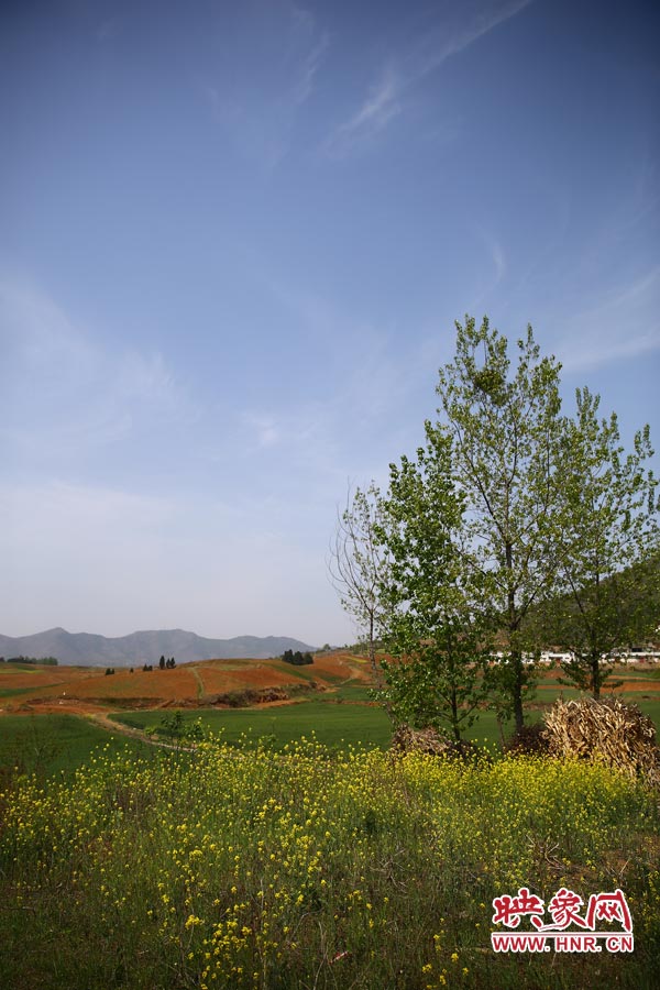 庫(kù)區(qū)的藍(lán)天、白云、綠樹、黃花給人清新的享受