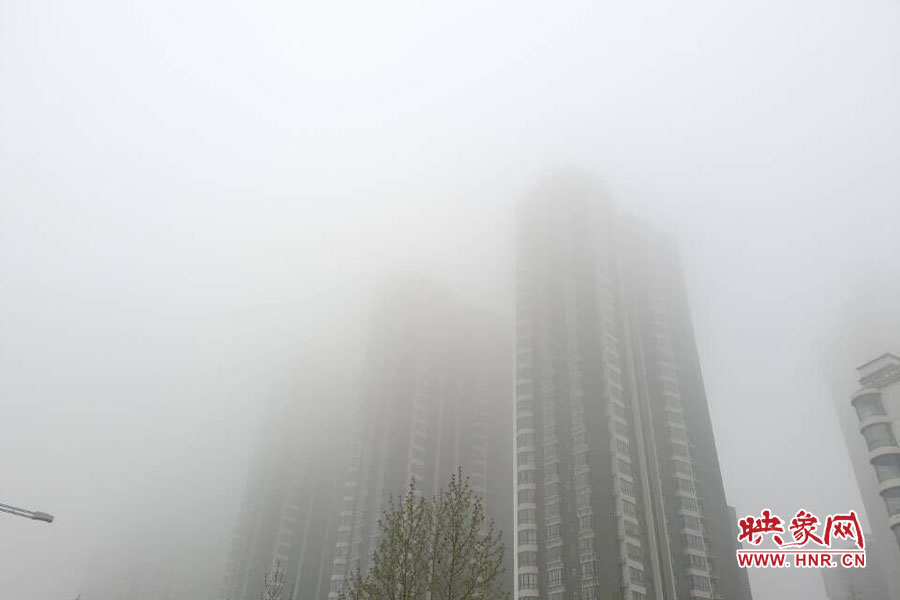 鄭州現(xiàn)大霧天氣，宛若仙境