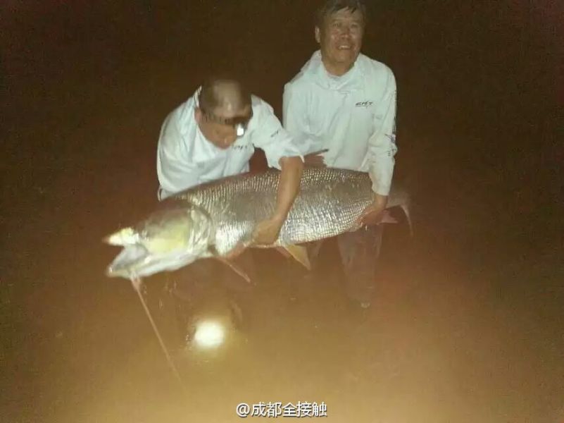 圖為大魚需要兩個人抱起。