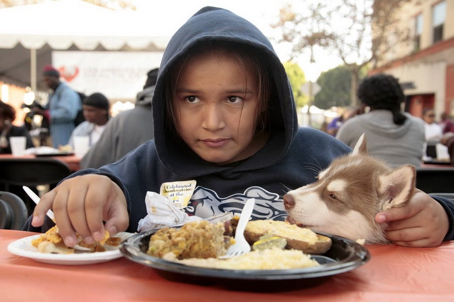 11月21日，加州洛杉磯的游民巷，12歲的堂娜·赫南德茲抱著愛犬“湯米”，安靜地吃著免費(fèi)的感恩節(jié)飯菜