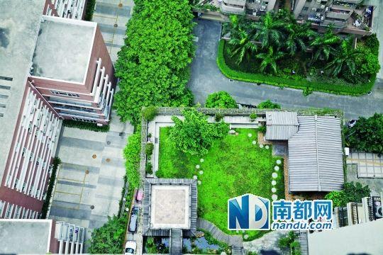 中旅商務(wù)大廈的“空中花園”。
