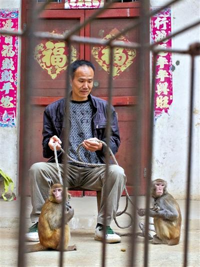 10月13日，耍猴人鮑慶山牽著從牡丹江帶回的兩只小猴在家門口玩耍。