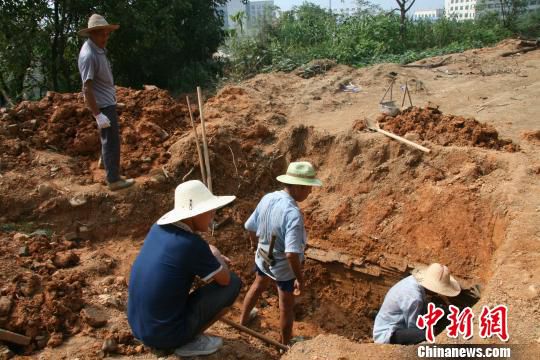 巖橋村廟山地區(qū)考古現(xiàn)場(chǎng)。　桐廬文管辦　攝