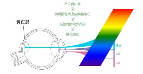 真能亮瞎眼？如何減少手機(jī)對(duì)眼睛的傷害