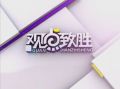 《觀點(diǎn)致勝》20130121