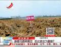 新修馬路種黃豆  如此做法為哪般？
