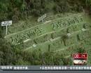 “垃圾場”拍婚紗：玩噱頭還是做環(huán)保？