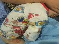 猛獸出沒(méi) 注意！2歲男童在動(dòng)物園被白虎咬掉右臂