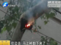 一場(chǎng)風(fēng)雨后 積水又?jǐn)嚯? width=