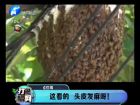 這看的 頭皮發(fā)麻呀！-打漁曬網
