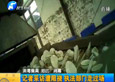 《民生大參考》-記者采訪(fǎng)遭阻撓 執(zhí)法部門(mén)走過(guò)場(chǎng)