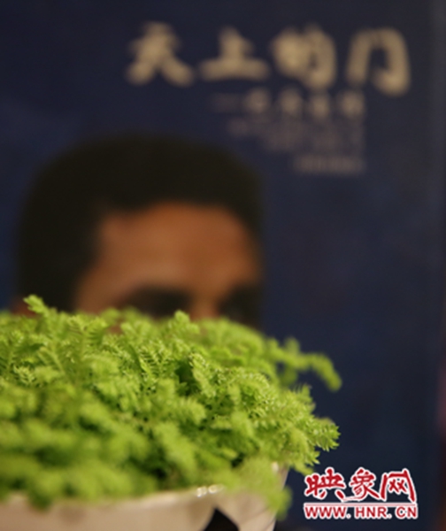 書架上精心布置的綠色植物。