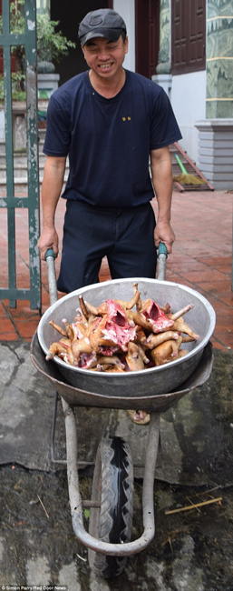 越南貓肉餐廳：將貓淹死、剝皮、切成小塊，再油炸