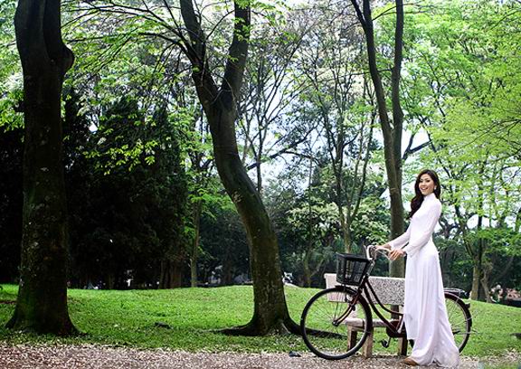 ���y(t��ng)�İ�ɫ